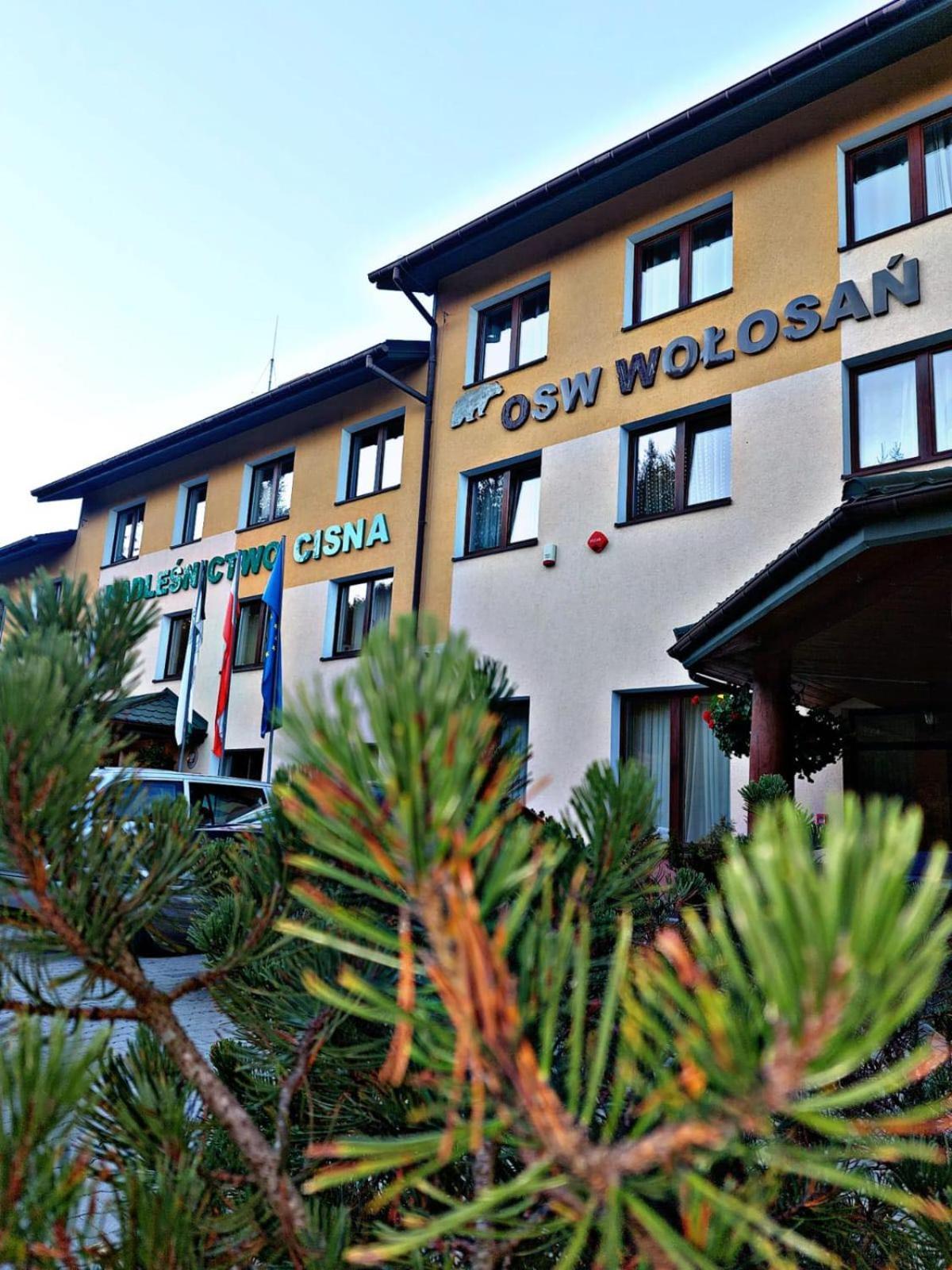 Wolosan B&B Cisna Exterior photo